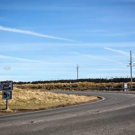 No6 @ Globe Lane,alston